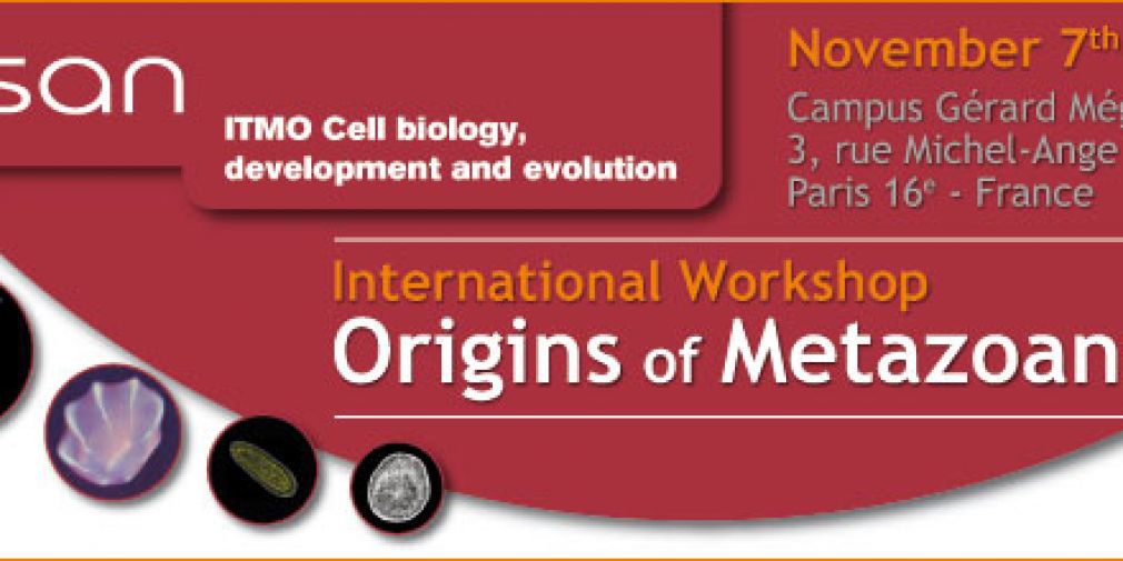 "Origins of Metazoans" Meeting