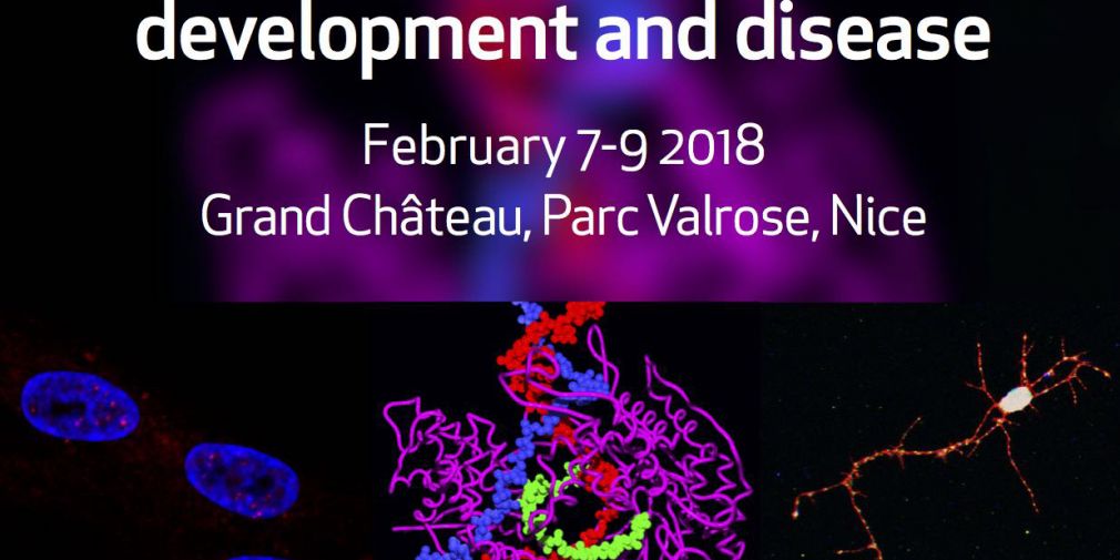 The multiple facets of RNA regulation in development and disease