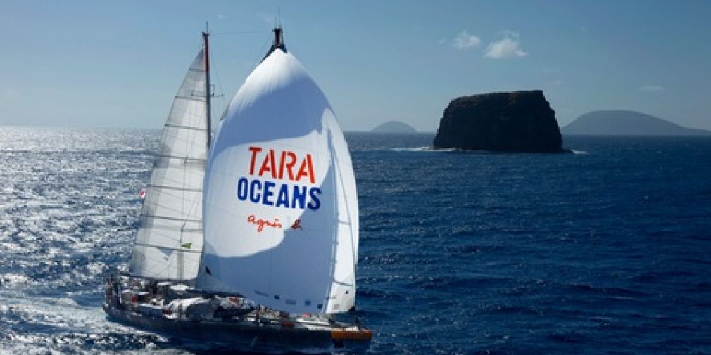 Tara Ocean : a Human, Planktonic and Scientific Adventure