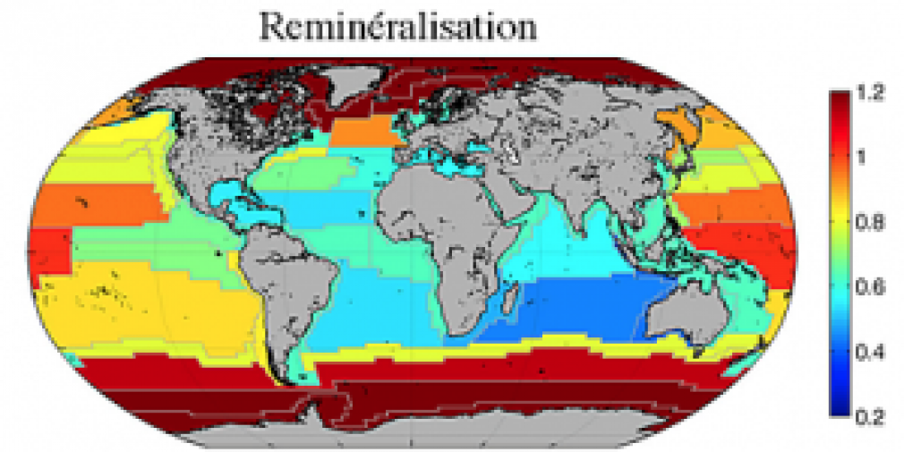 Une première régionalisation de la reminéralisation du carbone