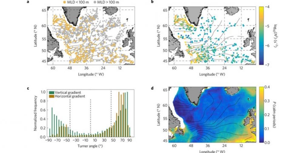 Unexpected winter phytoplankton blooms in the North Atlantic subpolar gyre : a Nature Geoscience paper