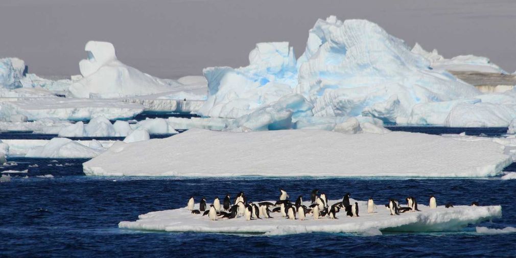 L'Océan Austral, clé de voûte du climat - Article dans l'EXPRESS